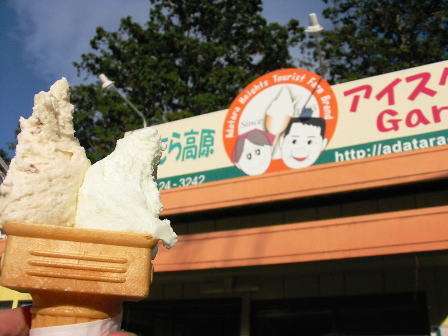 福島　あだたらアイスクリームガーデン　ラムレーズン＋塩のダブル