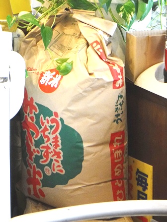 仙台　とうがらし亭　宮城県産ひとめぼれ