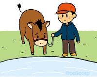 馬に水を飲ます