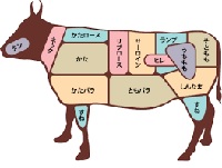 肉部位